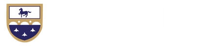 Nabity Business Advisors Logo