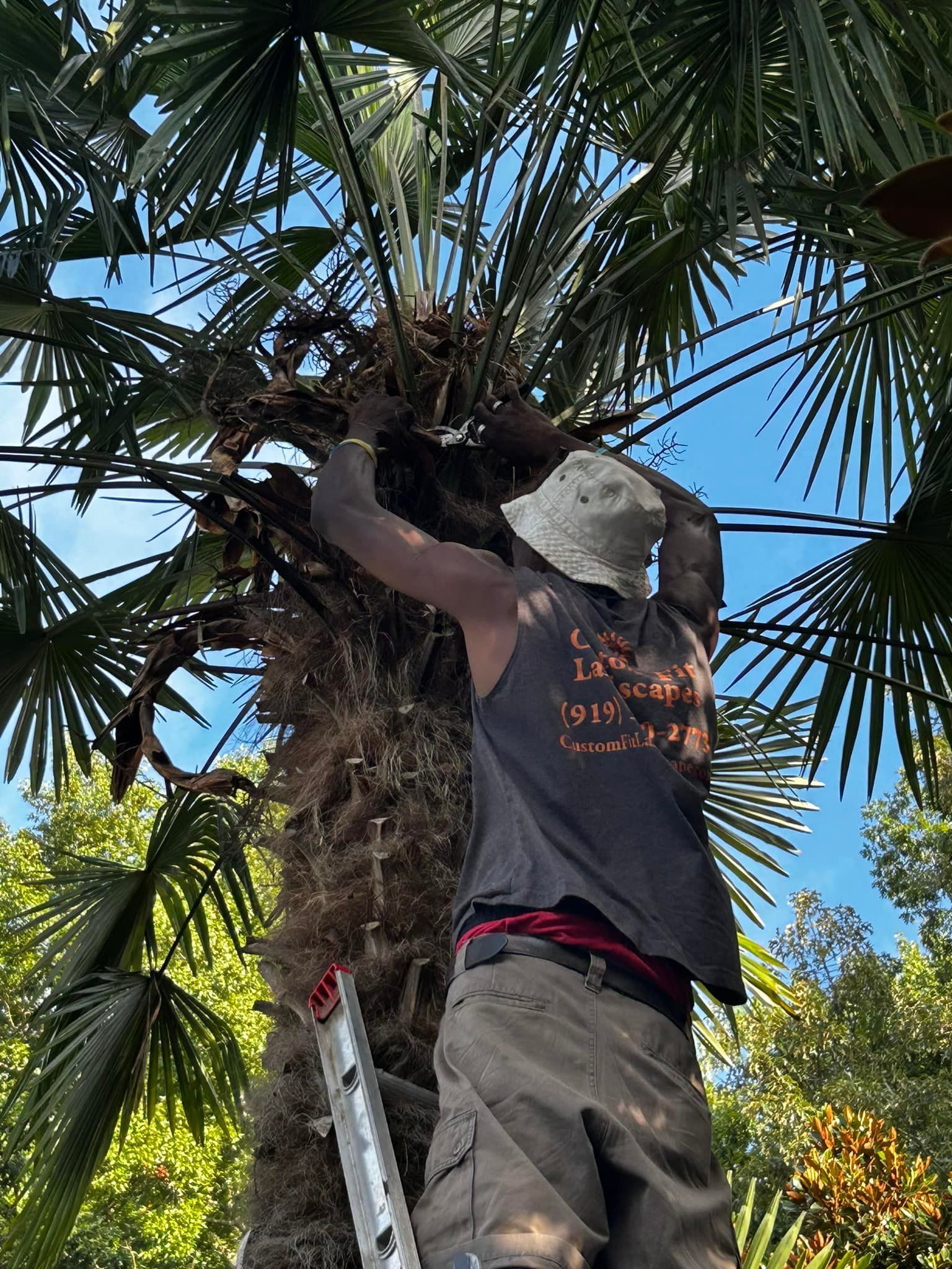 landscaping services 32