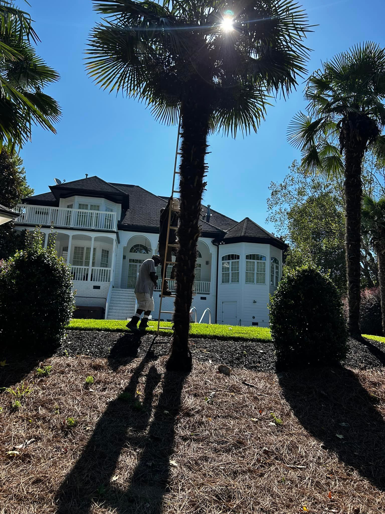 landscaping services 31