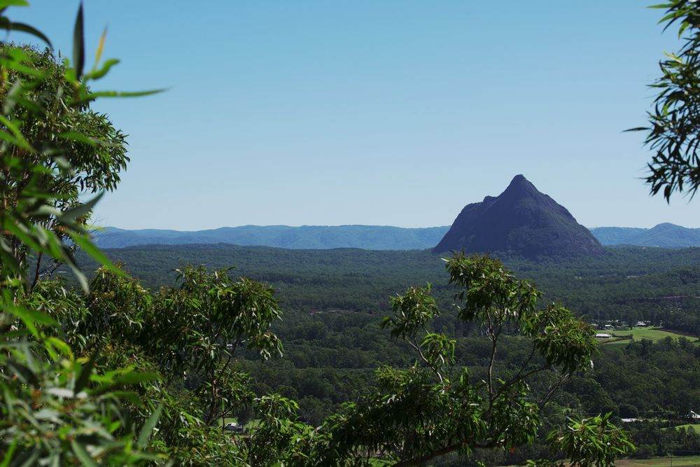 A Forested Landscape — Country To Coast Building Contractors In Maleny, QLD