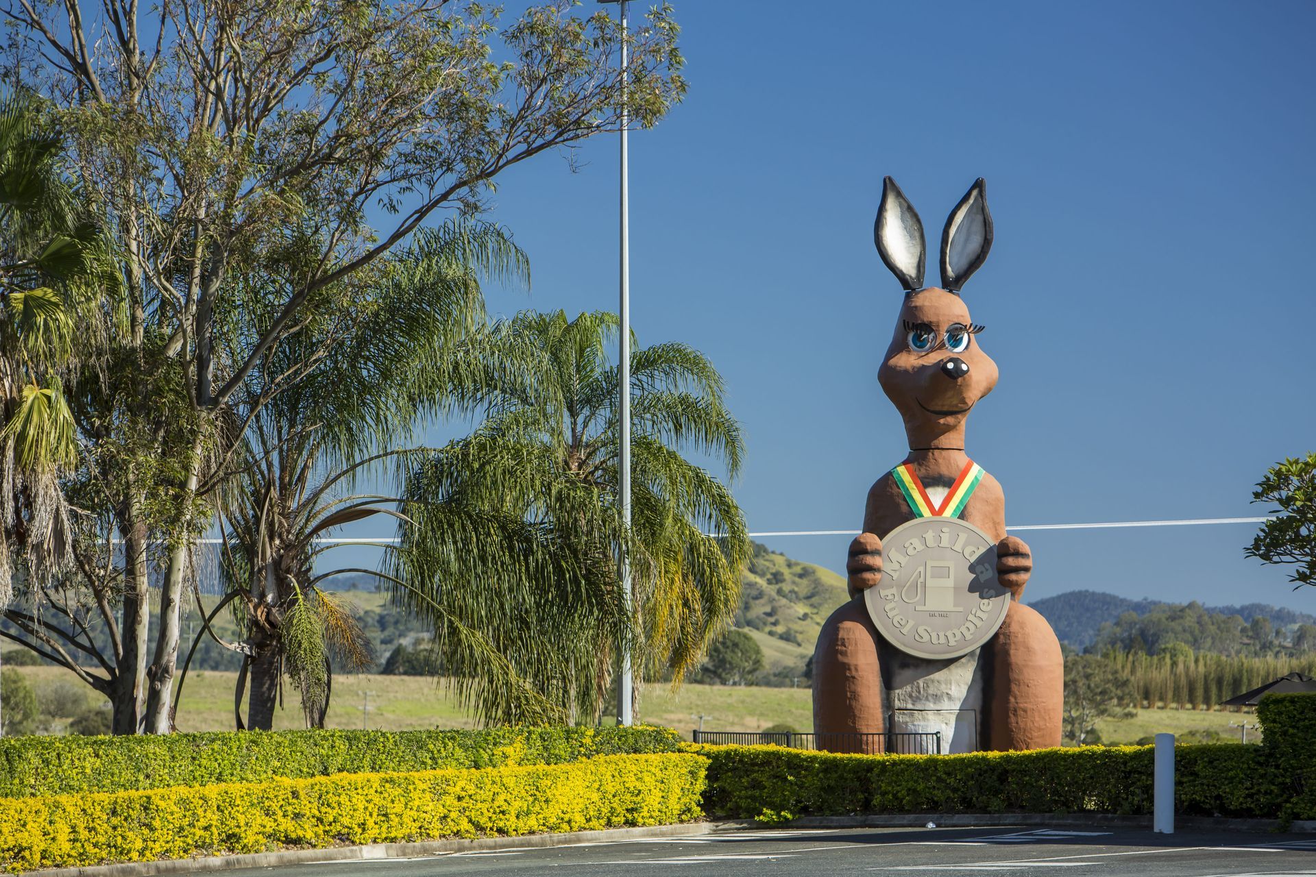 A Giant Kangaroo Statue — Country To Coast Building Contractors In Gympie, QLD