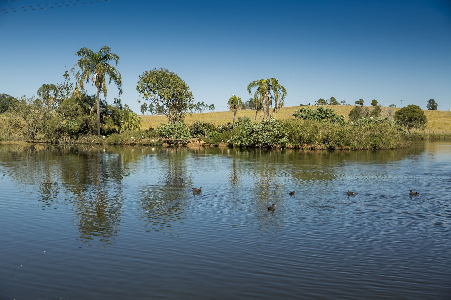 A Calm Lake Reflecting Trees and Blue Sky — Country To Coast Building Contractors In Gympie, QLD
