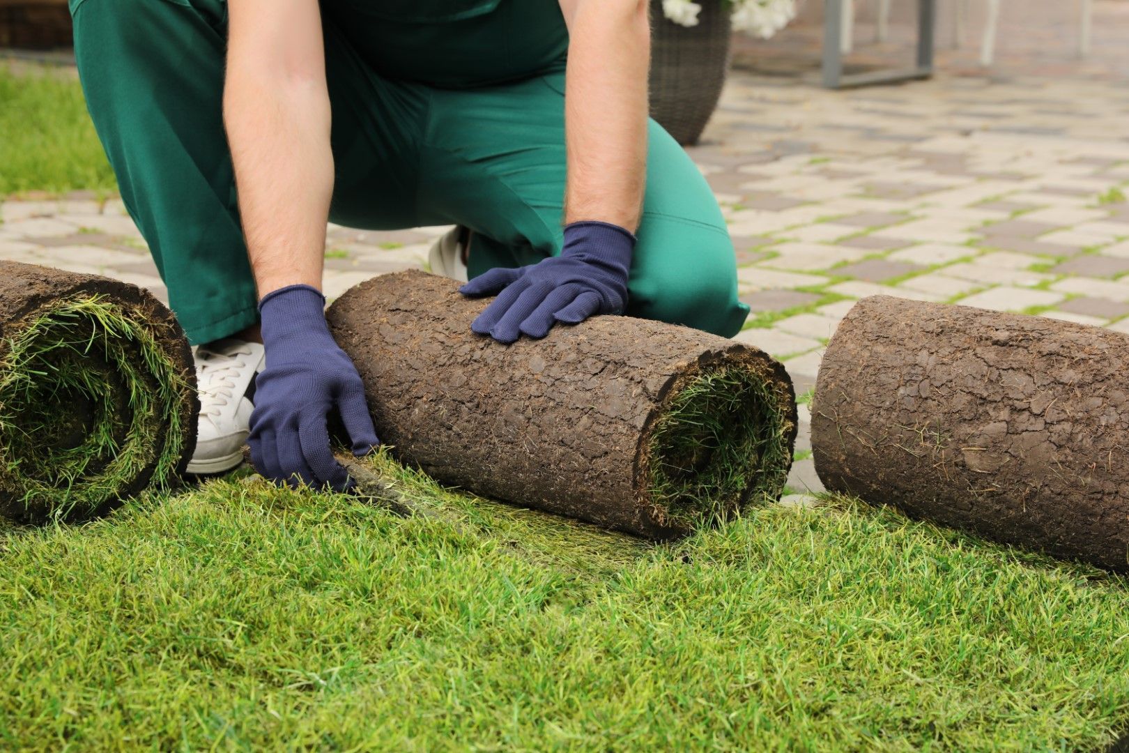 An image of Stump Grinding/Removal Services in Rowland Heights CA