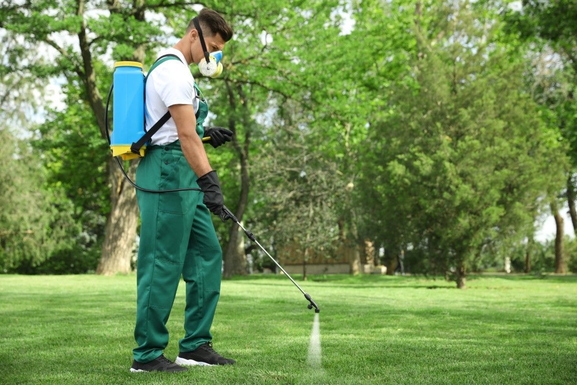 An image of Lawn Maintenance in Town N Country FL