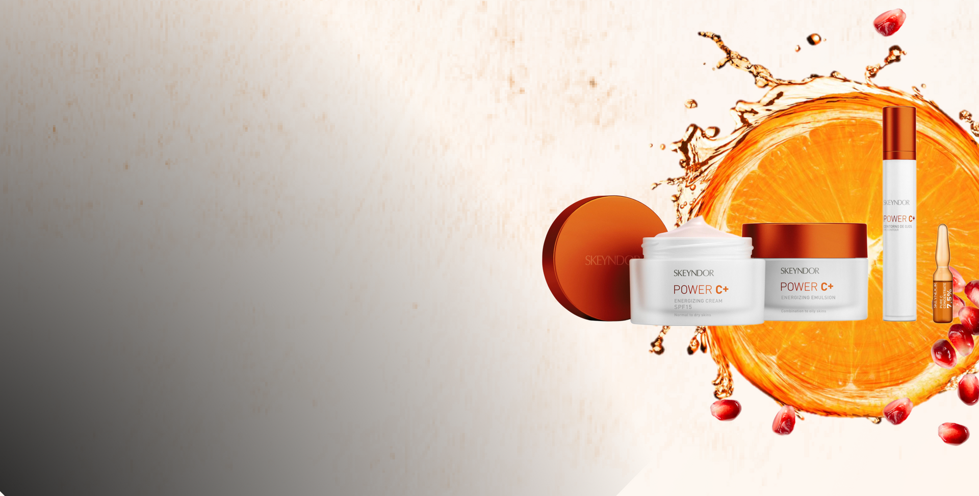 Banner Linea Power C+