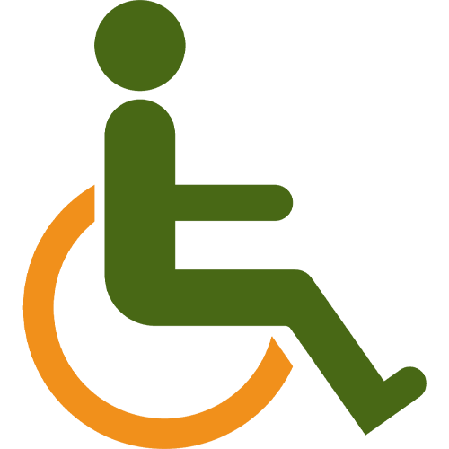 Disabled access icon
