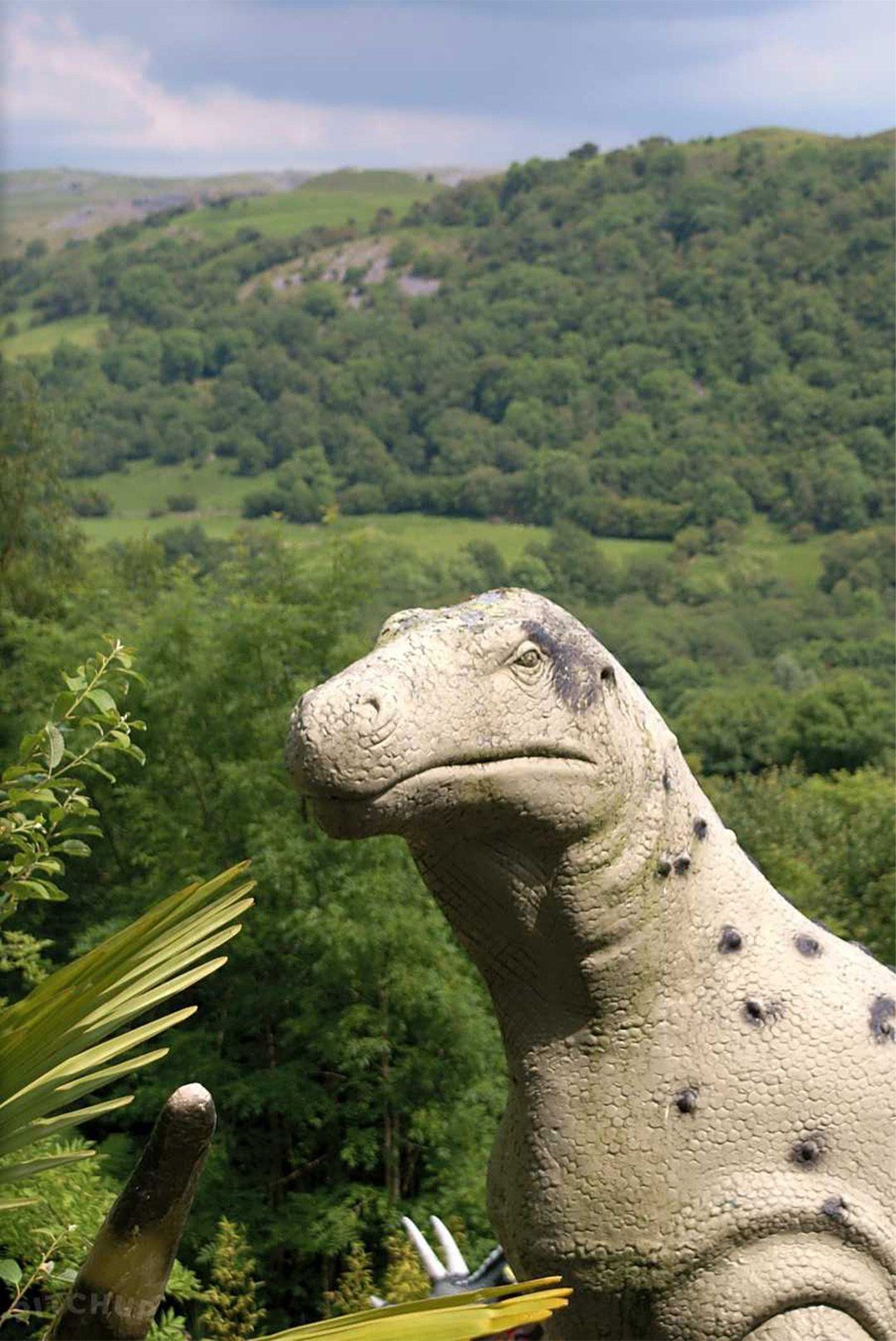 Irfon River Premier Leisure Park