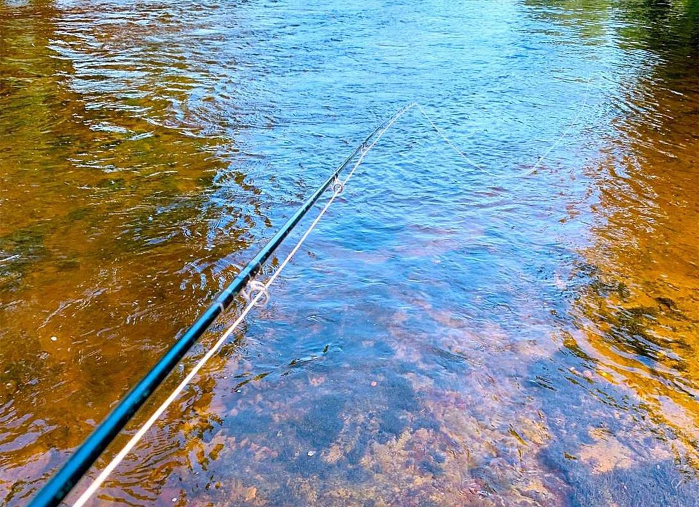 Fishing rod above water