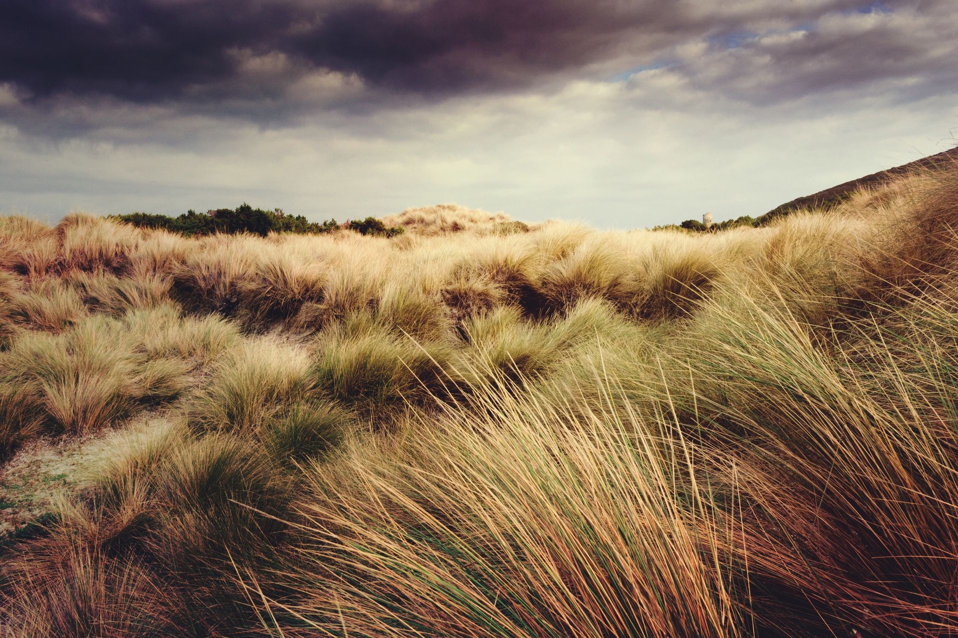 tranquil field with stormy sky