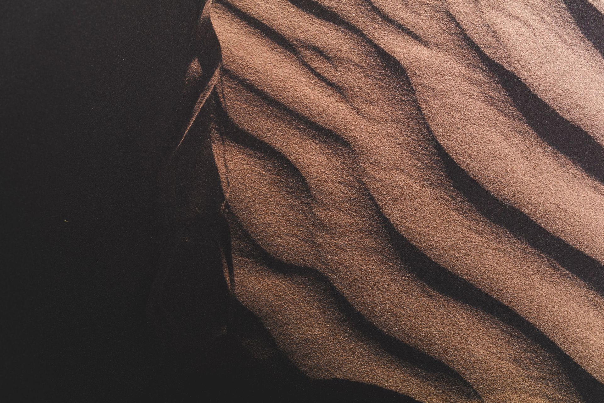 Sand texture