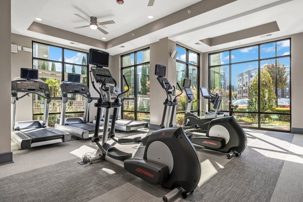 Modern gym interior with a range of cardio equipment including treadmills, elliptical trainers, and exercise bikes, all facing large floor-to-ceiling windows offering an outside view, in a well-lit room with a grey carpet floor and a ceiling fan at Marq at Crabtree in Raleigh, NC.