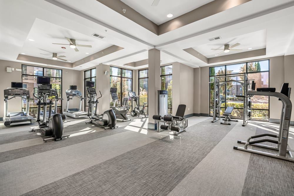 Bright and modern gym interior with a variety of exercise equipment including treadmills, elliptical trainers, stationary bikes, and weight training machines. The space features large windows offering natural light, neutral color tones, and a clean, well-maintained carpeted floor at Marq at Crabtree in Raleigh, NC.