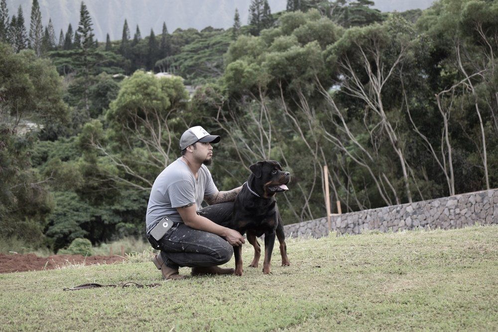 Socialization — Kailua, HI — Von Lotus Haus Dogs