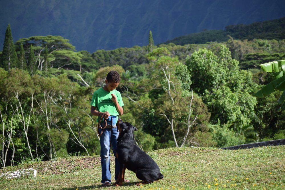 Dog and kid — Kailua, HI — Von Lotus Haus Dogs