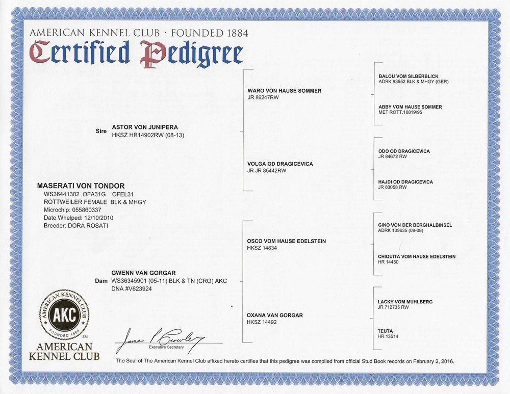 Certified pedigree — Kailua, HI — Von Lotus Haus Dogs