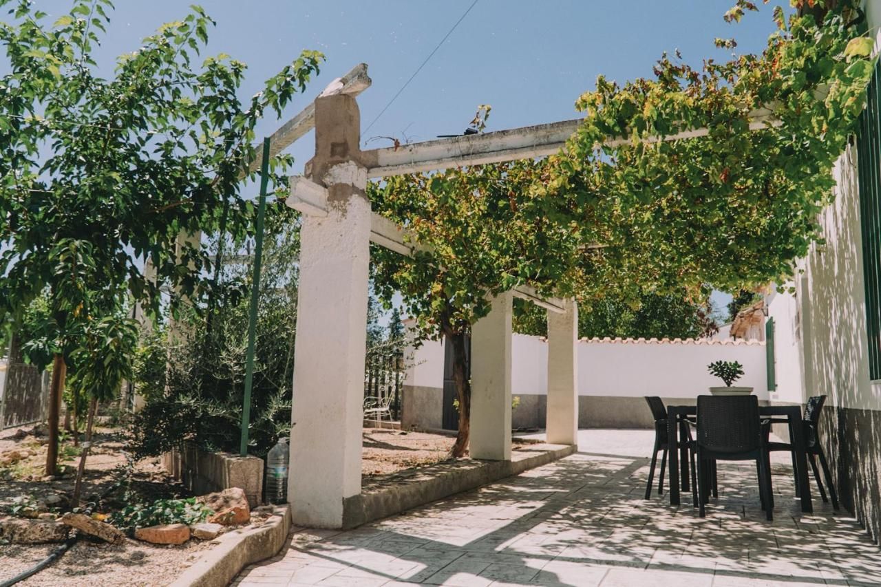 Patio al aire libre con pérgola, juego de comedor y exuberante vegetación bajo un cielo brillante.