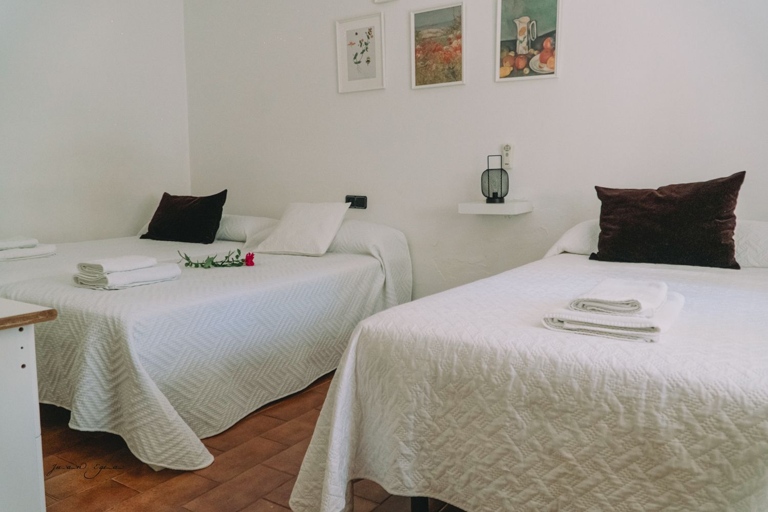 Dos camas con ropa de cama blanca y almohadas marrones en una habitación de paredes blancas. Tres obras de arte enmarcadas arriba.