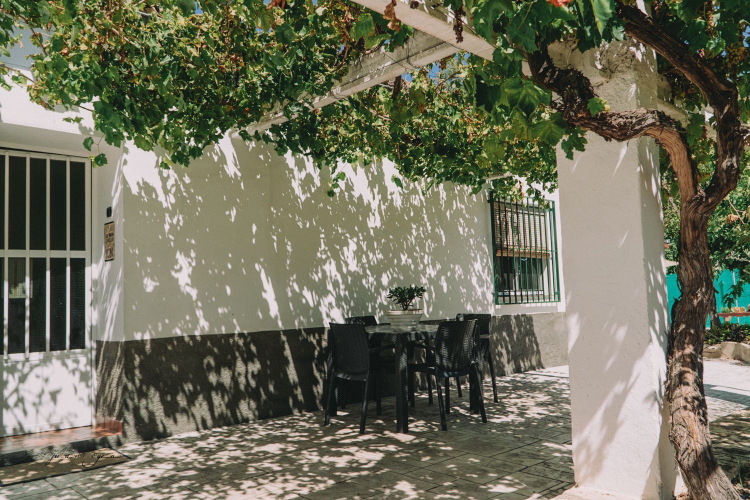 Patio exterior con mesa y sillas bajo una pérgola cubierta de enredaderas, que proyecta sombras sobre las paredes blancas.