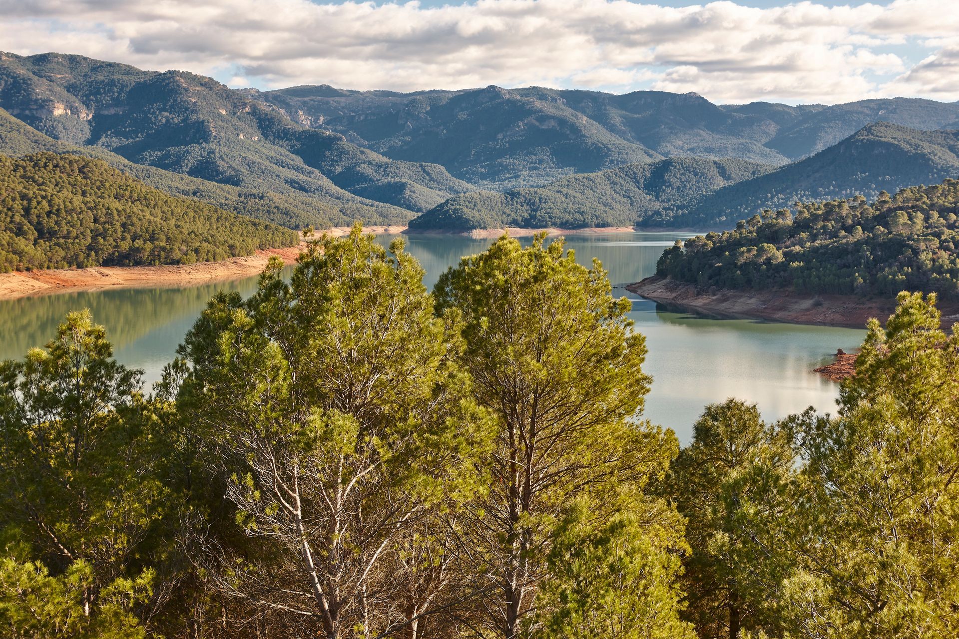 Un lago sereno rodeado de exuberantes bosques verdes y montañas bajo un cielo nublado.