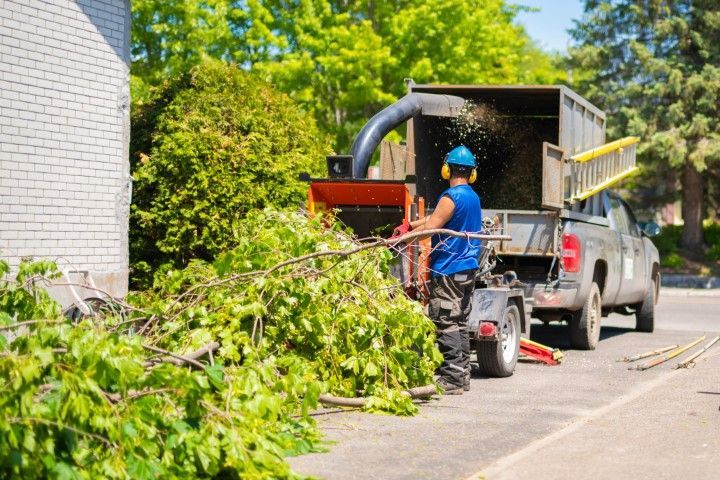Man using wood chipper to process branches, parked truck in a sunny environment.
