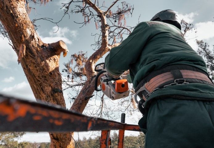 Arborist in green uniform, using a chainsaw to cut a tree branch, on an elevated platform.