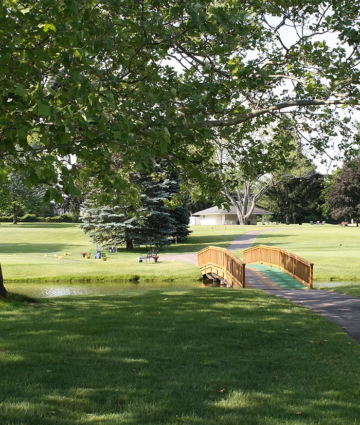 Park with a wooden bridge over a small pond. Green grass, trees, and a distant white house.