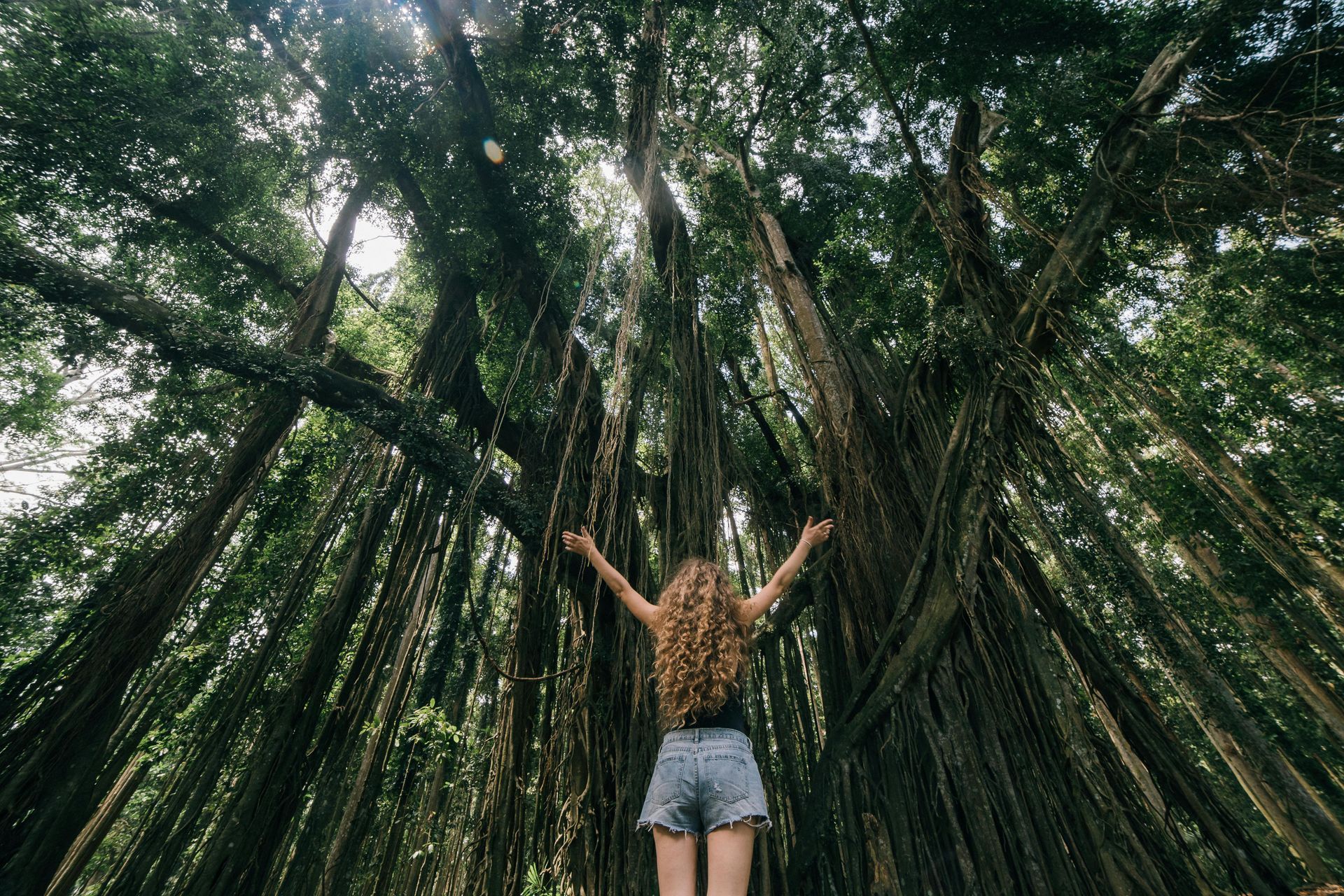 Woman with arms raised under a large tree with hanging vines.