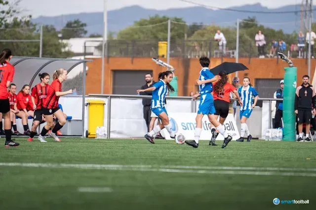 Soccer game: Players in blue and red jerseys on a green field. Spectators watch from the stands.