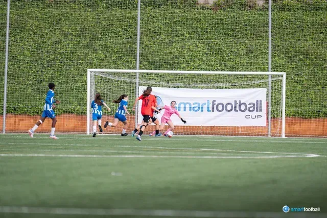 Soccer match: Players in blue and pink jerseys compete near a goal in a green field setting.