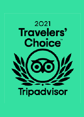 A travelers choice tripadvisor logo on a green background.