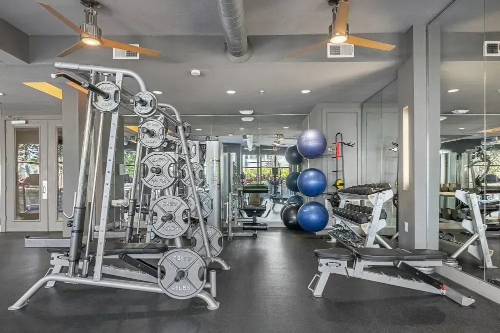 Gym interior with weight machines, dumbbells, and exercise balls; grey walls and ceiling.
