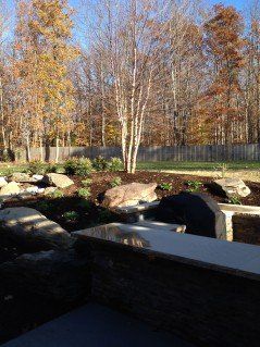 Tree and Shrubs - Landscaping in Dulles, VA