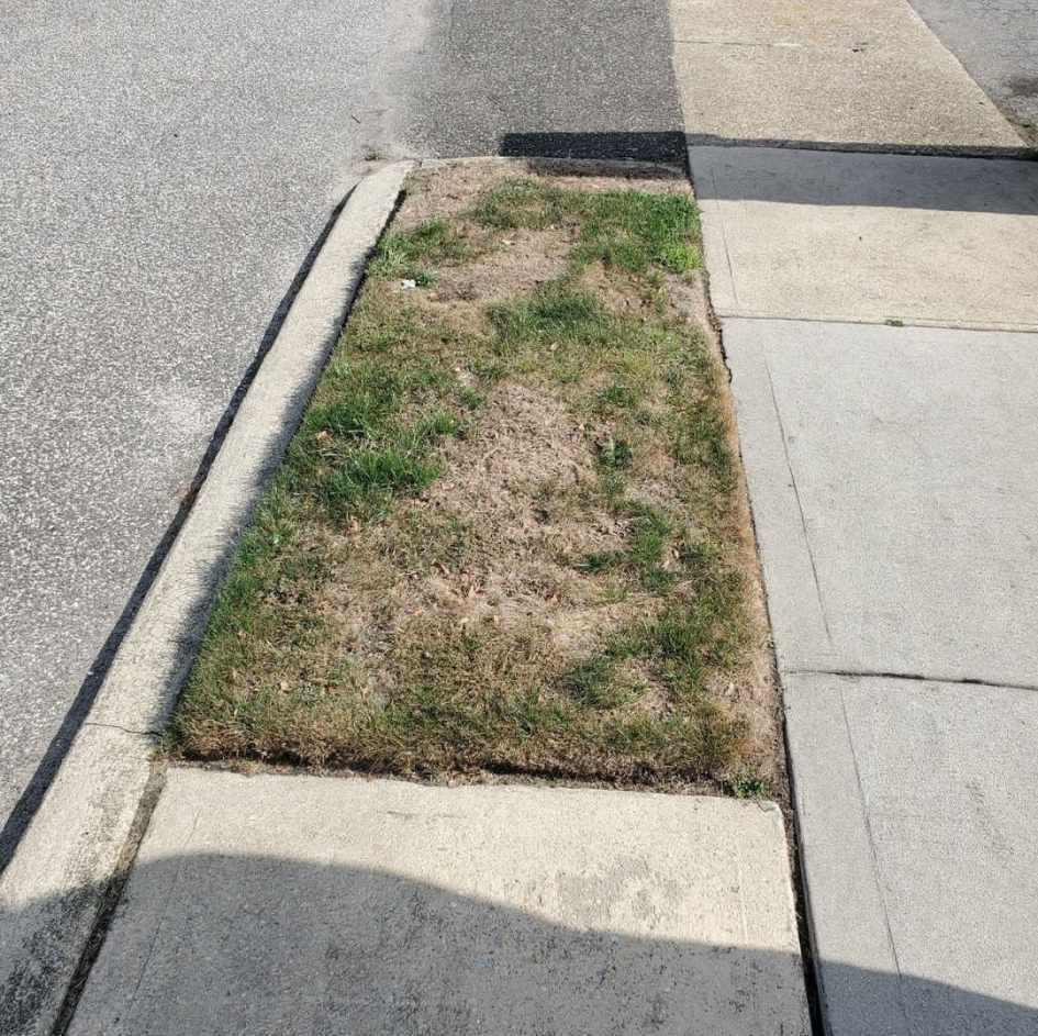 Before Pathway Construction