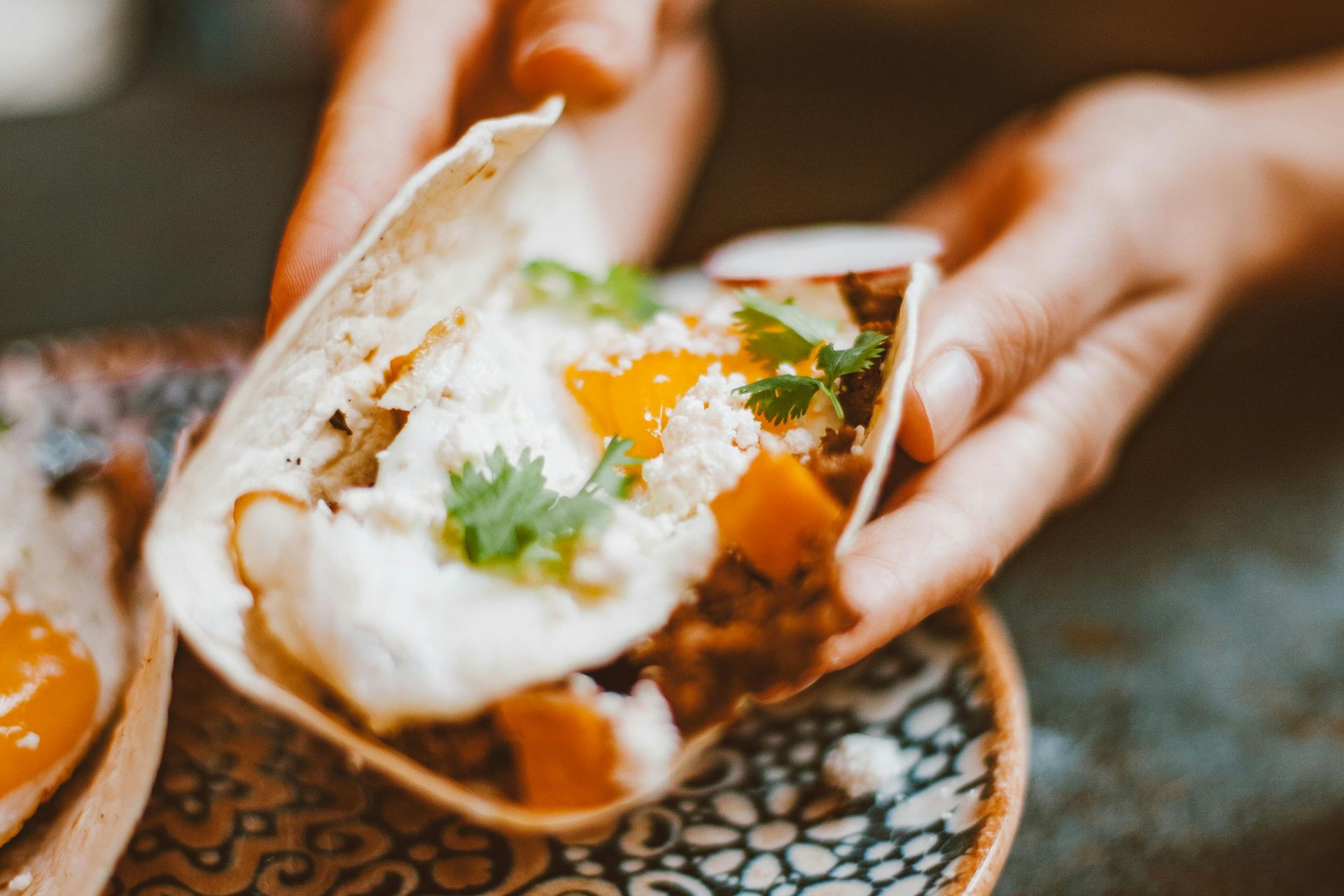 A person is holding a taco in their hands on a plate.