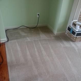 Carpet Cleaning, Carpet Cleaning Near Me, Air Duct Cleaning, Air Duct Cleaning Near Me, Air Vent Cleaning, Air Vent Cleaning Near Me, Mattress Cleaning, Mattress Cleaning Near Me, Upholstery Cleaning, Upholstery Cleaning Near Me, Sofa Cleaning, Sofa Cleaning Near Me, Love Seat Cleaning, Love Seat Cleaning Near Me, Recliner Cleaning Near Me, Dryer Vent Cleaning, Dryer Vent Cleaning Near Me, Rug Cleaning, Rug Cleaning Near Me, Deep Steam Cleaning Near Me, Commercial Carpet Cleaning, Commercial Carpet Cleaning Near Me, Commercial Air Duct Cleaning, Commercial Air Duct Cleaning Near Me, Office Carpet Cleaning, Office Carpet Cleaning Near Me, Office Rug Cleaning, Office Rug Cleaning Near Me, Restaurant Carpet Cleaning, Restaurant Carpet Cleaning Near Me, Walton County GA, Gwinnett County GA, Loganville GA, Alpharetta GA, Snellville GA, Oxford GA, Conyers GA, Cummings GA, Latonia GA, Stone Mountain GA, Grayson GA, Gainesville GA