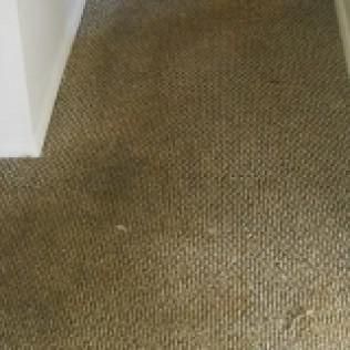Carpet Cleaning, Carpet Cleaning Near Me, Air Duct Cleaning, Air Duct Cleaning Near Me, Air Vent Cleaning, Air Vent Cleaning Near Me, Mattress Cleaning, Mattress Cleaning Near Me, Upholstery Cleaning, Upholstery Cleaning Near Me, Sofa Cleaning, Sofa Cleaning Near Me, Love Seat Cleaning, Love Seat Cleaning Near Me, Recliner Cleaning Near Me, Dryer Vent Cleaning, Dryer Vent Cleaning Near Me, Rug Cleaning, Rug Cleaning Near Me, Deep Steam Cleaning Near Me, Commercial Carpet Cleaning, Commercial Carpet Cleaning Near Me, Commercial Air Duct Cleaning, Commercial Air Duct Cleaning Near Me, Office Carpet Cleaning, Office Carpet Cleaning Near Me, Office Rug Cleaning, Office Rug Cleaning Near Me, Restaurant Carpet Cleaning, Restaurant Carpet Cleaning Near Me, Walton County GA, Gwinnett County GA, Loganville GA, Alpharetta GA, Snellville GA, Oxford GA, Conyers GA, Cummings GA, Latonia GA, Stone Mountain GA, Grayson GA, Gainesville GA