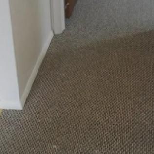 Carpet Cleaning, Carpet Cleaning Near Me, Air Duct Cleaning, Air Duct Cleaning Near Me, Air Vent Cleaning, Air Vent Cleaning Near Me, Mattress Cleaning, Mattress Cleaning Near Me, Upholstery Cleaning, Upholstery Cleaning Near Me, Sofa Cleaning, Sofa Cleaning Near Me, Love Seat Cleaning, Love Seat Cleaning Near Me, Recliner Cleaning Near Me, Dryer Vent Cleaning, Dryer Vent Cleaning Near Me, Rug Cleaning, Rug Cleaning Near Me, Deep Steam Cleaning Near Me, Commercial Carpet Cleaning, Commercial Carpet Cleaning Near Me, Commercial Air Duct Cleaning, Commercial Air Duct Cleaning Near Me, Office Carpet Cleaning, Office Carpet Cleaning Near Me, Office Rug Cleaning, Office Rug Cleaning Near Me, Restaurant Carpet Cleaning, Restaurant Carpet Cleaning Near Me, Walton County GA, Gwinnett County GA, Loganville GA, Alpharetta GA, Snellville GA, Oxford GA, Conyers GA, Cummings GA, Latonia GA, Stone Mountain GA, Grayson GA, Gainesville GA