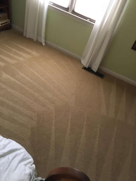 Carpet Cleaning, Carpet Cleaning Near Me, Air Duct Cleaning, Air Duct Cleaning Near Me, Air Vent Cleaning, Air Vent Cleaning Near Me, Mattress Cleaning, Mattress Cleaning Near Me, Upholstery Cleaning, Upholstery Cleaning Near Me, Sofa Cleaning, Sofa Cleaning Near Me, Love Seat Cleaning, Love Seat Cleaning Near Me, Recliner Cleaning Near Me, Dryer Vent Cleaning, Dryer Vent Cleaning Near Me, Rug Cleaning, Rug Cleaning Near Me, Deep Steam Cleaning Near Me, Commercial Carpet Cleaning, Commercial Carpet Cleaning Near Me, Commercial Air Duct Cleaning, Commercial Air Duct Cleaning Near Me, Office Carpet Cleaning, Office Carpet Cleaning Near Me, Office Rug Cleaning, Office Rug Cleaning Near Me, Restaurant Carpet Cleaning, Restaurant Carpet Cleaning Near Me, Walton County GA, Gwinnett County GA, Loganville GA, Alpharetta GA, Snellville GA, Oxford GA, Conyers GA, Cummings GA, Latonia GA, Stone Mountain GA, Grayson GA, Gainesville GA