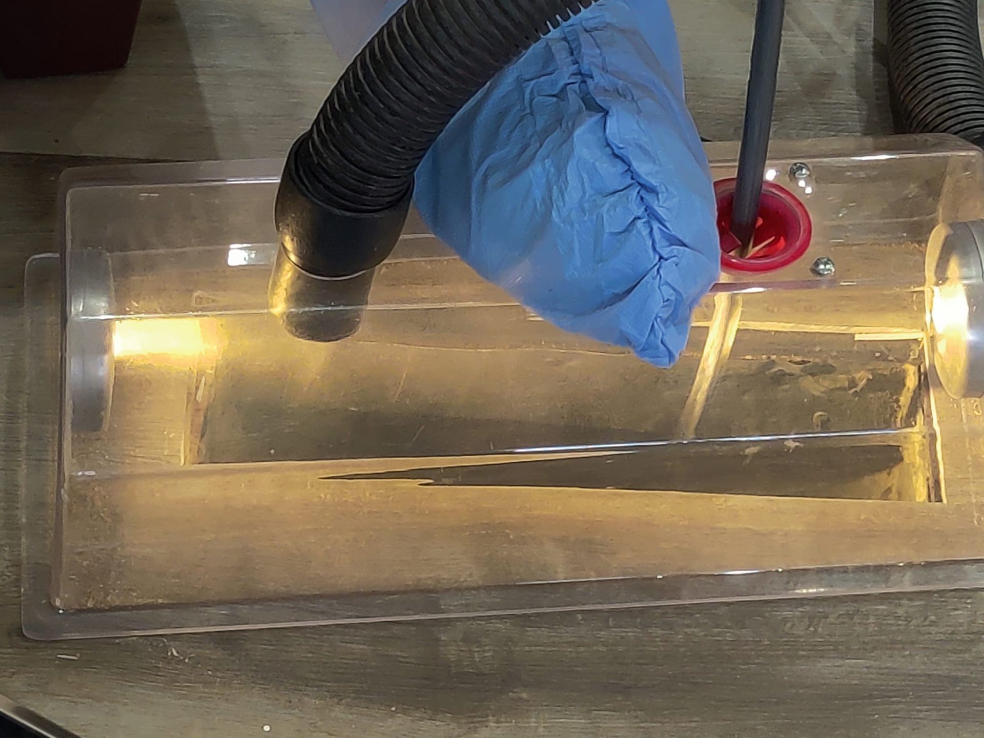 Carpet Cleaning, Carpet Cleaning Near Me, Air Duct Cleaning, Air Duct Cleaning Near Me, Air Vent Cleaning, Air Vent Cleaning Near Me, Mattress Cleaning, Mattress Cleaning Near Me, Upholstery Cleaning, Upholstery Cleaning Near Me, Sofa Cleaning, Sofa Cleaning Near Me, Love Seat Cleaning, Love Seat Cleaning Near Me, Recliner Cleaning Near Me, Dryer Vent Cleaning, Dryer Vent Cleaning Near Me, Rug Cleaning, Rug Cleaning Near Me, Deep Steam Cleaning Near Me, Commercial Carpet Cleaning, Commercial Carpet Cleaning Near Me, Commercial Air Duct Cleaning, Commercial Air Duct Cleaning Near Me, Office Carpet Cleaning, Office Carpet Cleaning Near Me, Office Rug Cleaning, Office Rug Cleaning Near Me, Restaurant Carpet Cleaning, Restaurant Carpet Cleaning Near Me, Walton County GA, Gwinnett County GA, Loganville GA, Alpharetta GA, Snellville GA, Oxford GA, Conyers GA, Cummings GA, Latonia GA, Stone Mountain GA, Grayson GA, Gainesville GA