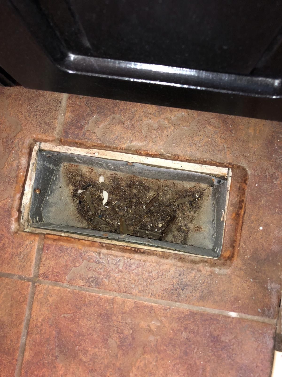 Carpet Cleaning, Carpet Cleaning Near Me, Air Duct Cleaning, Air Duct Cleaning Near Me, Air Vent Cleaning, Air Vent Cleaning Near Me, Mattress Cleaning, Mattress Cleaning Near Me, Upholstery Cleaning, Upholstery Cleaning Near Me, Sofa Cleaning, Sofa Cleaning Near Me, Love Seat Cleaning, Love Seat Cleaning Near Me, Recliner Cleaning Near Me, Dryer Vent Cleaning, Dryer Vent Cleaning Near Me, Rug Cleaning, Rug Cleaning Near Me, Deep Steam Cleaning Near Me, Commercial Carpet Cleaning, Commercial Carpet Cleaning Near Me, Commercial Air Duct Cleaning, Commercial Air Duct Cleaning Near Me, Office Carpet Cleaning, Office Carpet Cleaning Near Me, Office Rug Cleaning, Office Rug Cleaning Near Me, Restaurant Carpet Cleaning, Restaurant Carpet Cleaning Near Me, Walton County GA, Gwinnett County GA, Loganville GA, Alpharetta GA, Snellville GA, Oxford GA, Conyers GA, Cummings GA, Latonia GA, Stone Mountain GA, Grayson GA, Gainesville GA