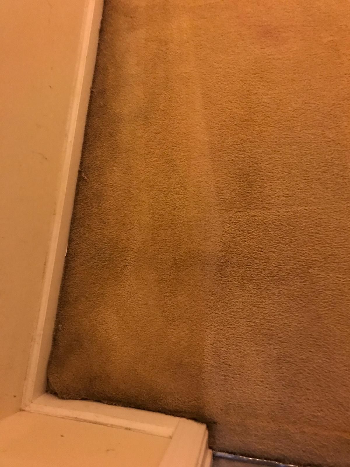 Carpet Cleaning, Carpet Cleaning Near Me, Air Duct Cleaning, Air Duct Cleaning Near Me, Air Vent Cleaning, Air Vent Cleaning Near Me, Mattress Cleaning, Mattress Cleaning Near Me, Upholstery Cleaning, Upholstery Cleaning Near Me, Sofa Cleaning, Sofa Cleaning Near Me, Love Seat Cleaning, Love Seat Cleaning Near Me, Recliner Cleaning Near Me, Dryer Vent Cleaning, Dryer Vent Cleaning Near Me, Rug Cleaning, Rug Cleaning Near Me, Deep Steam Cleaning Near Me, Commercial Carpet Cleaning, Commercial Carpet Cleaning Near Me, Commercial Air Duct Cleaning, Commercial Air Duct Cleaning Near Me, Office Carpet Cleaning, Office Carpet Cleaning Near Me, Office Rug Cleaning, Office Rug Cleaning Near Me, Restaurant Carpet Cleaning, Restaurant Carpet Cleaning Near Me, Walton County GA, Gwinnett County GA, Loganville GA, Alpharetta GA, Snellville GA, Oxford GA, Conyers GA, Cummings GA, Latonia GA, Stone Mountain GA, Grayson GA, Gainesville GA