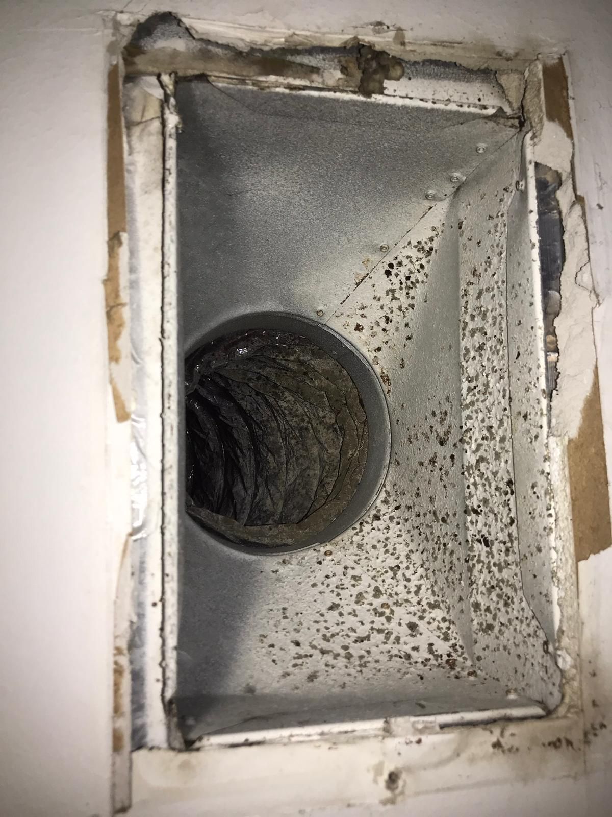 Carpet Cleaning, Carpet Cleaning Near Me, Air Duct Cleaning, Air Duct Cleaning Near Me, Air Vent Cleaning, Air Vent Cleaning Near Me, Mattress Cleaning, Mattress Cleaning Near Me, Upholstery Cleaning, Upholstery Cleaning Near Me, Sofa Cleaning, Sofa Cleaning Near Me, Love Seat Cleaning, Love Seat Cleaning Near Me, Recliner Cleaning Near Me, Dryer Vent Cleaning, Dryer Vent Cleaning Near Me, Rug Cleaning, Rug Cleaning Near Me, Deep Steam Cleaning Near Me, Commercial Carpet Cleaning, Commercial Carpet Cleaning Near Me, Commercial Air Duct Cleaning, Commercial Air Duct Cleaning Near Me, Office Carpet Cleaning, Office Carpet Cleaning Near Me, Office Rug Cleaning, Office Rug Cleaning Near Me, Restaurant Carpet Cleaning, Restaurant Carpet Cleaning Near Me, Walton County GA, Gwinnett County GA, Loganville GA, Alpharetta GA, Snellville GA, Oxford GA, Conyers GA, Cummings GA, Latonia GA, Stone Mountain GA, Grayson GA, Gainesville GA