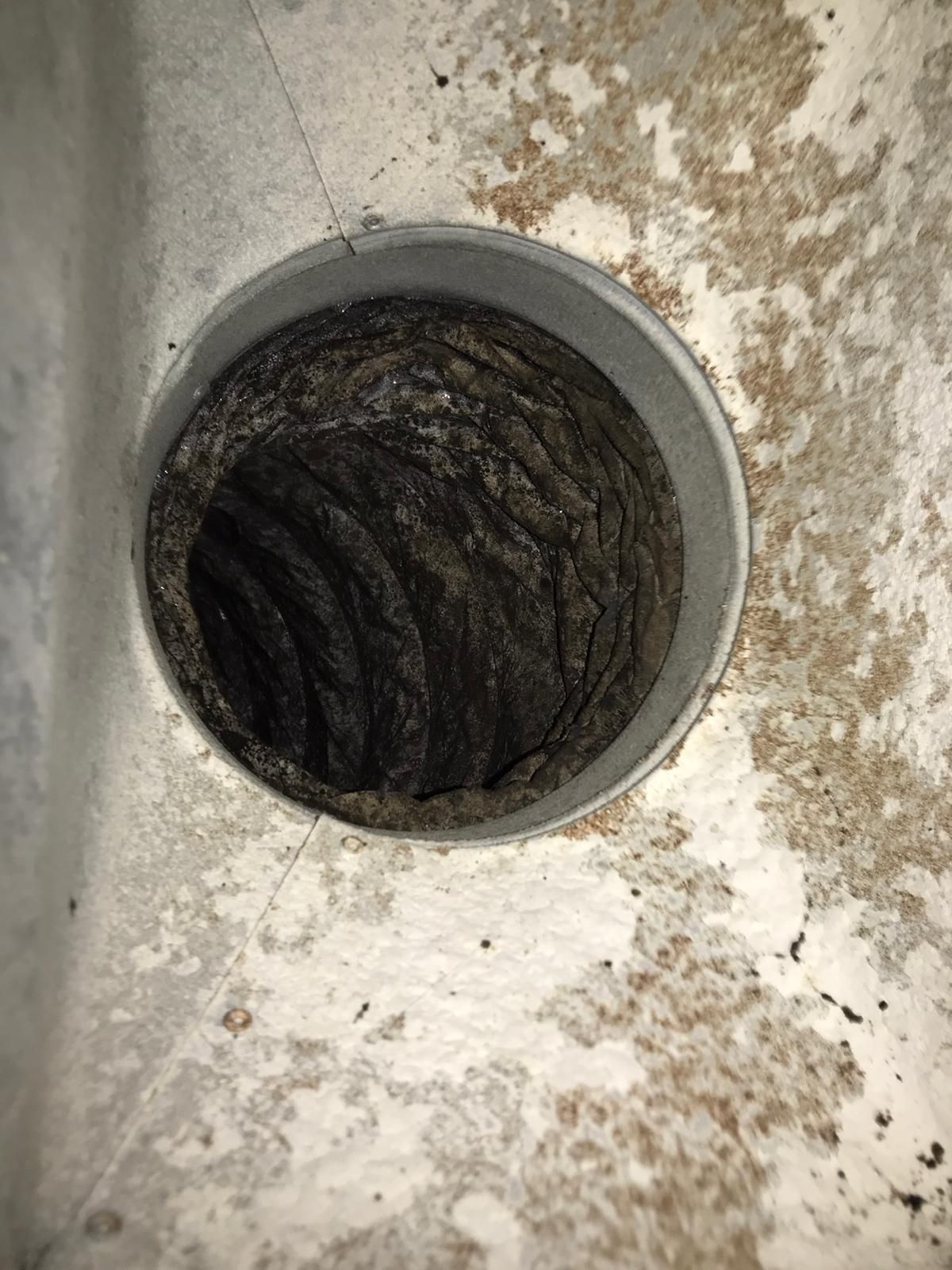 Carpet Cleaning, Carpet Cleaning Near Me, Air Duct Cleaning, Air Duct Cleaning Near Me, Air Vent Cleaning, Air Vent Cleaning Near Me, Mattress Cleaning, Mattress Cleaning Near Me, Upholstery Cleaning, Upholstery Cleaning Near Me, Sofa Cleaning, Sofa Cleaning Near Me, Love Seat Cleaning, Love Seat Cleaning Near Me, Recliner Cleaning Near Me, Dryer Vent Cleaning, Dryer Vent Cleaning Near Me, Rug Cleaning, Rug Cleaning Near Me, Deep Steam Cleaning Near Me, Commercial Carpet Cleaning, Commercial Carpet Cleaning Near Me, Commercial Air Duct Cleaning, Commercial Air Duct Cleaning Near Me, Office Carpet Cleaning, Office Carpet Cleaning Near Me, Office Rug Cleaning, Office Rug Cleaning Near Me, Restaurant Carpet Cleaning, Restaurant Carpet Cleaning Near Me, Walton County GA, Gwinnett County GA, Loganville GA, Alpharetta GA, Snellville GA, Oxford GA, Conyers GA, Cummings GA, Latonia GA, Stone Mountain GA, Grayson GA, Gainesville GA