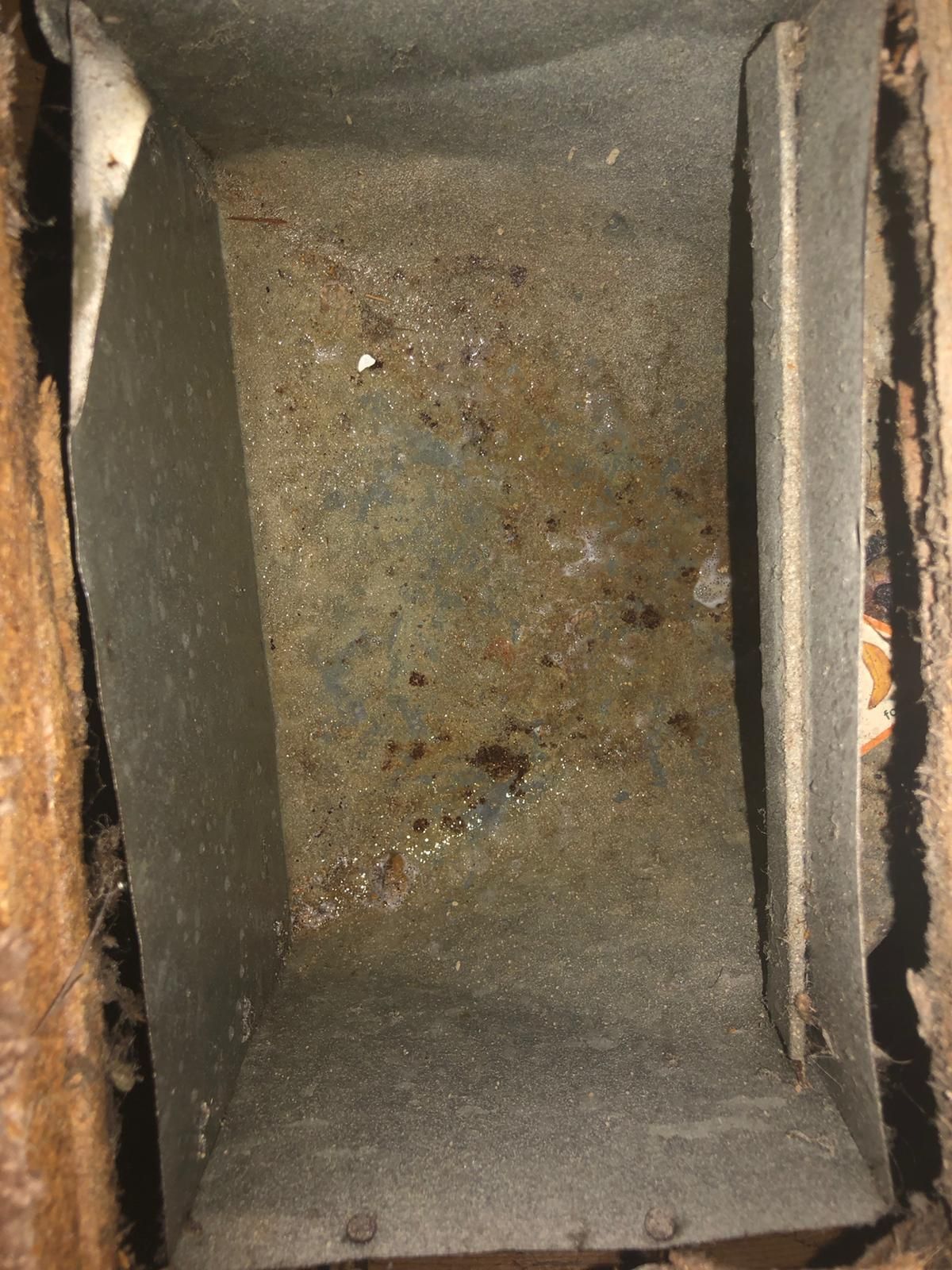 Carpet Cleaning, Carpet Cleaning Near Me, Air Duct Cleaning, Air Duct Cleaning Near Me, Air Vent Cleaning, Air Vent Cleaning Near Me, Mattress Cleaning, Mattress Cleaning Near Me, Upholstery Cleaning, Upholstery Cleaning Near Me, Sofa Cleaning, Sofa Cleaning Near Me, Love Seat Cleaning, Love Seat Cleaning Near Me, Recliner Cleaning Near Me, Dryer Vent Cleaning, Dryer Vent Cleaning Near Me, Rug Cleaning, Rug Cleaning Near Me, Deep Steam Cleaning Near Me, Commercial Carpet Cleaning, Commercial Carpet Cleaning Near Me, Commercial Air Duct Cleaning, Commercial Air Duct Cleaning Near Me, Office Carpet Cleaning, Office Carpet Cleaning Near Me, Office Rug Cleaning, Office Rug Cleaning Near Me, Restaurant Carpet Cleaning, Restaurant Carpet Cleaning Near Me, Walton County GA, Gwinnett County GA, Loganville GA, Alpharetta GA, Snellville GA, Oxford GA, Conyers GA, Cummings GA, Latonia GA, Stone Mountain GA, Grayson GA, Gainesville GA