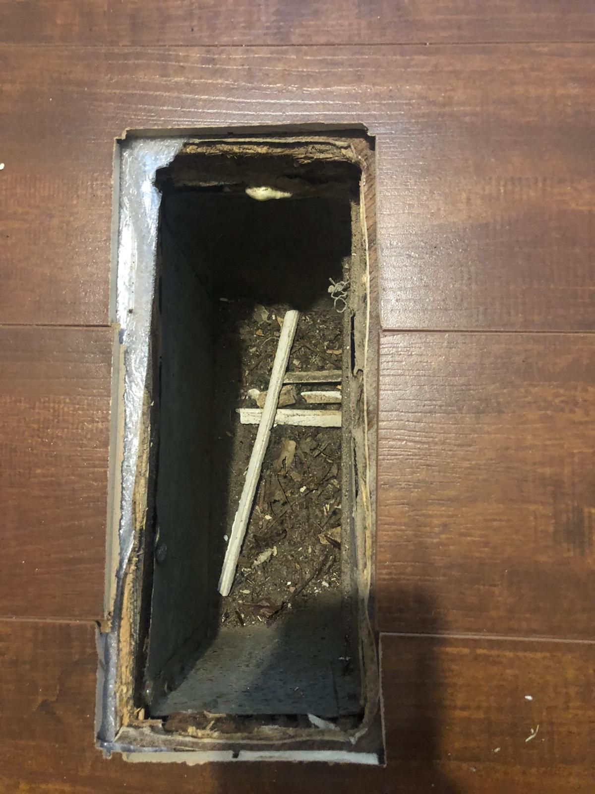 Carpet Cleaning, Carpet Cleaning Near Me, Air Duct Cleaning, Air Duct Cleaning Near Me, Air Vent Cleaning, Air Vent Cleaning Near Me, Mattress Cleaning, Mattress Cleaning Near Me, Upholstery Cleaning, Upholstery Cleaning Near Me, Sofa Cleaning, Sofa Cleaning Near Me, Love Seat Cleaning, Love Seat Cleaning Near Me, Recliner Cleaning Near Me, Dryer Vent Cleaning, Dryer Vent Cleaning Near Me, Rug Cleaning, Rug Cleaning Near Me, Deep Steam Cleaning Near Me, Commercial Carpet Cleaning, Commercial Carpet Cleaning Near Me, Commercial Air Duct Cleaning, Commercial Air Duct Cleaning Near Me, Office Carpet Cleaning, Office Carpet Cleaning Near Me, Office Rug Cleaning, Office Rug Cleaning Near Me, Restaurant Carpet Cleaning, Restaurant Carpet Cleaning Near Me, Walton County GA, Gwinnett County GA, Loganville GA, Alpharetta GA, Snellville GA, Oxford GA, Conyers GA, Cummings GA, Latonia GA, Stone Mountain GA, Grayson GA, Gainesville GA