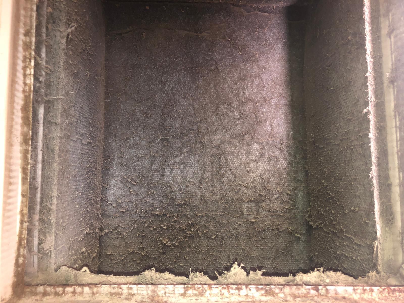 Carpet Cleaning, Carpet Cleaning Near Me, Air Duct Cleaning, Air Duct Cleaning Near Me, Air Vent Cleaning, Air Vent Cleaning Near Me, Mattress Cleaning, Mattress Cleaning Near Me, Upholstery Cleaning, Upholstery Cleaning Near Me, Sofa Cleaning, Sofa Cleaning Near Me, Love Seat Cleaning, Love Seat Cleaning Near Me, Recliner Cleaning Near Me, Dryer Vent Cleaning, Dryer Vent Cleaning Near Me, Rug Cleaning, Rug Cleaning Near Me, Deep Steam Cleaning Near Me, Commercial Carpet Cleaning, Commercial Carpet Cleaning Near Me, Commercial Air Duct Cleaning, Commercial Air Duct Cleaning Near Me, Office Carpet Cleaning, Office Carpet Cleaning Near Me, Office Rug Cleaning, Office Rug Cleaning Near Me, Restaurant Carpet Cleaning, Restaurant Carpet Cleaning Near Me, Walton County GA, Gwinnett County GA, Loganville GA, Alpharetta GA, Snellville GA, Oxford GA, Conyers GA, Cummings GA, Latonia GA, Stone Mountain GA, Grayson GA, Gainesville GA