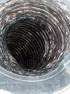 Carpet Cleaning, Carpet Cleaning Near Me, Air Duct Cleaning, Air Duct Cleaning Near Me, Air Vent Cleaning, Air Vent Cleaning Near Me, Mattress Cleaning, Mattress Cleaning Near Me, Upholstery Cleaning, Upholstery Cleaning Near Me, Sofa Cleaning, Sofa Cleaning Near Me, Love Seat Cleaning, Love Seat Cleaning Near Me, Recliner Cleaning Near Me, Dryer Vent Cleaning, Dryer Vent Cleaning Near Me, Rug Cleaning, Rug Cleaning Near Me, Deep Steam Cleaning Near Me, Commercial Carpet Cleaning, Commercial Carpet Cleaning Near Me, Commercial Air Duct Cleaning, Commercial Air Duct Cleaning Near Me, Office Carpet Cleaning, Office Carpet Cleaning Near Me, Office Rug Cleaning, Office Rug Cleaning Near Me, Restaurant Carpet Cleaning, Restaurant Carpet Cleaning Near Me, Walton County GA, Gwinnett County GA, Loganville GA, Alpharetta GA, Snellville GA, Oxford GA, Conyers GA, Cummings GA, Latonia GA, Stone Mountain GA, Grayson GA, Gainesville GA