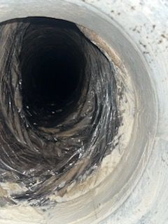 Carpet Cleaning, Carpet Cleaning Near Me, Air Duct Cleaning, Air Duct Cleaning Near Me, Air Vent Cleaning, Air Vent Cleaning Near Me, Mattress Cleaning, Mattress Cleaning Near Me, Upholstery Cleaning, Upholstery Cleaning Near Me, Sofa Cleaning, Sofa Cleaning Near Me, Love Seat Cleaning, Love Seat Cleaning Near Me, Recliner Cleaning Near Me, Dryer Vent Cleaning, Dryer Vent Cleaning Near Me, Rug Cleaning, Rug Cleaning Near Me, Deep Steam Cleaning Near Me, Commercial Carpet Cleaning, Commercial Carpet Cleaning Near Me, Commercial Air Duct Cleaning, Commercial Air Duct Cleaning Near Me, Office Carpet Cleaning, Office Carpet Cleaning Near Me, Office Rug Cleaning, Office Rug Cleaning Near Me, Restaurant Carpet Cleaning, Restaurant Carpet Cleaning Near Me, Walton County GA, Gwinnett County GA, Loganville GA, Alpharetta GA, Snellville GA, Oxford GA, Conyers GA, Cummings GA, Latonia GA, Stone Mountain GA, Grayson GA, Gainesville GA