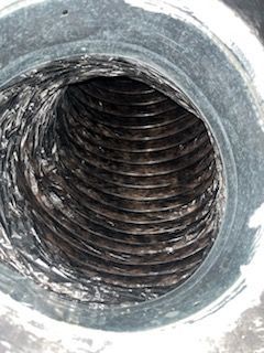 Carpet Cleaning, Carpet Cleaning Near Me, Air Duct Cleaning, Air Duct Cleaning Near Me, Air Vent Cleaning, Air Vent Cleaning Near Me, Mattress Cleaning, Mattress Cleaning Near Me, Upholstery Cleaning, Upholstery Cleaning Near Me, Sofa Cleaning, Sofa Cleaning Near Me, Love Seat Cleaning, Love Seat Cleaning Near Me, Recliner Cleaning Near Me, Dryer Vent Cleaning, Dryer Vent Cleaning Near Me, Rug Cleaning, Rug Cleaning Near Me, Deep Steam Cleaning Near Me, Commercial Carpet Cleaning, Commercial Carpet Cleaning Near Me, Commercial Air Duct Cleaning, Commercial Air Duct Cleaning Near Me, Office Carpet Cleaning, Office Carpet Cleaning Near Me, Office Rug Cleaning, Office Rug Cleaning Near Me, Restaurant Carpet Cleaning, Restaurant Carpet Cleaning Near Me, Walton County GA, Gwinnett County GA, Loganville GA, Alpharetta GA, Snellville GA, Oxford GA, Conyers GA, Cummings GA, Latonia GA, Stone Mountain GA, Grayson GA, Gainesville GA