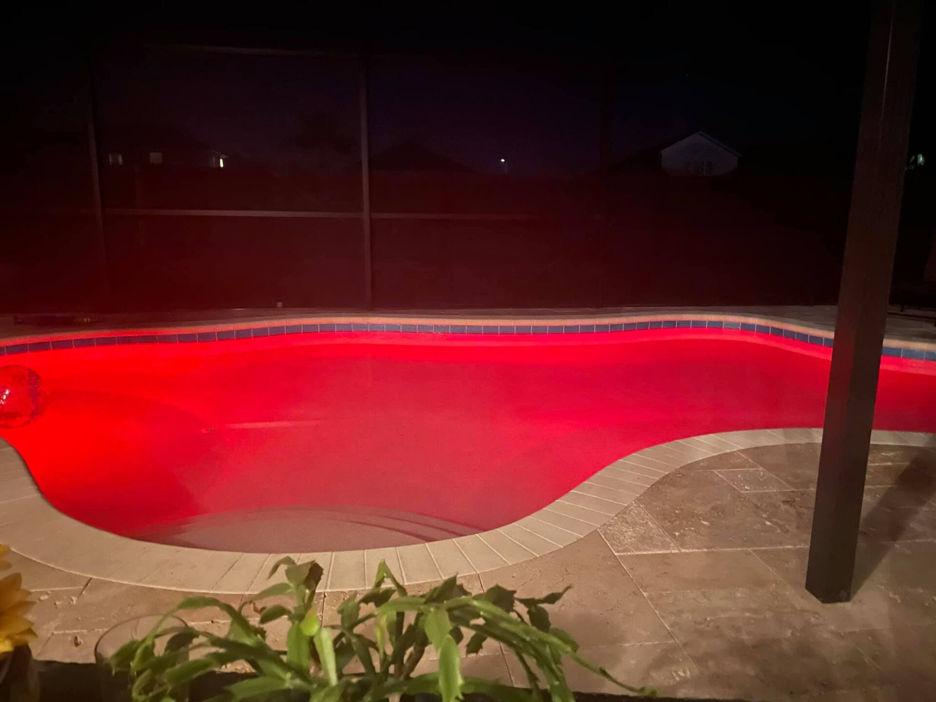 A red-lit swimming pool at night. Poolside with plants and a fence in the background.
